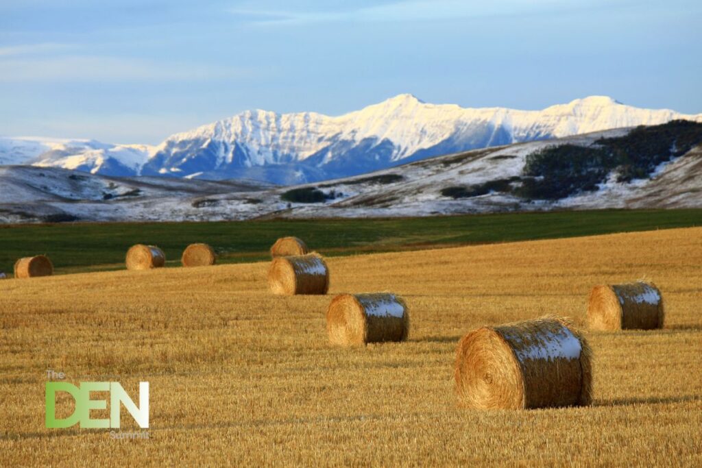 scaling beyond alberta at the DEN Summit